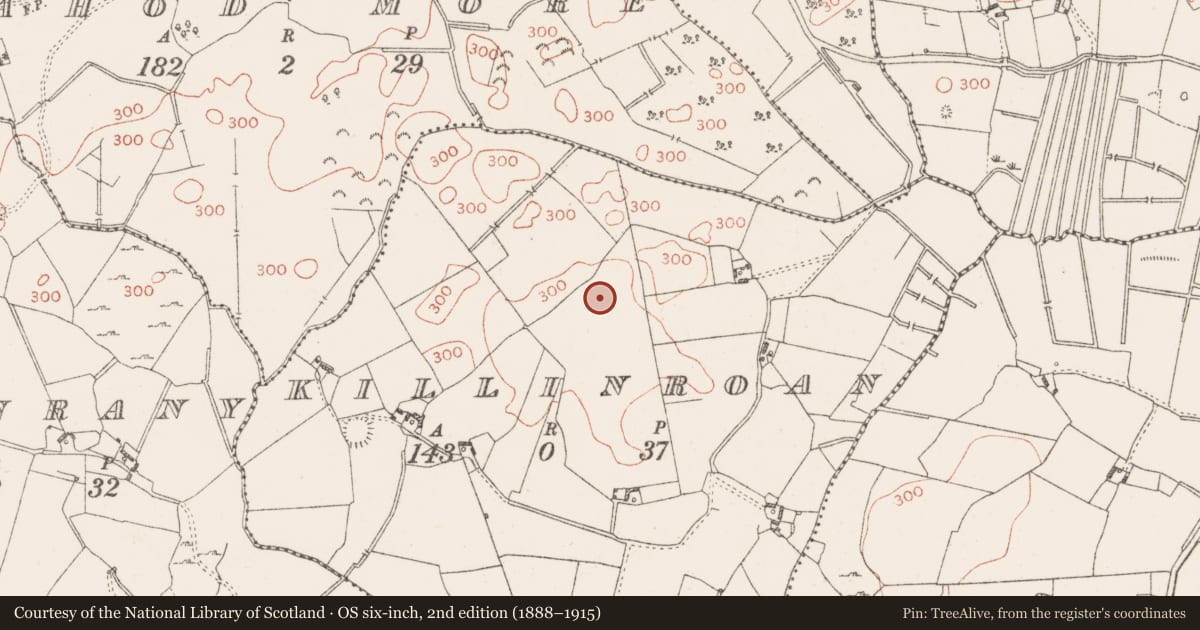 Ordnance Survey six-inch map, 2nd edition (1888–1915) covering the location of Enclosure, Killinroan, County Westmeath, with a pin at the register's coordinates