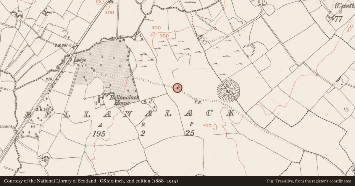 Ordnance Survey six-inch map, 2nd edition (1888–1915) covering the location of Ringfort - rath, Bellanalack, County Westmeath, with a pin at the register's coordinates