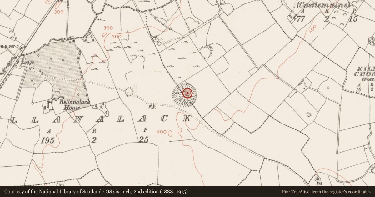Ordnance Survey six-inch map, 2nd edition (1888–1915) covering the location of Castle - ringwork, Bellanalack, Knockdomny, County Westmeath, with a pin at the register's coordinates