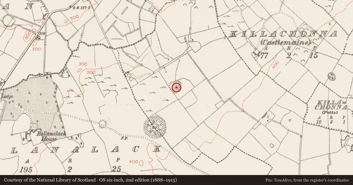 Ordnance Survey six-inch map, 2nd edition (1888–1915) covering the location of Ringfort - rath, Knockdomny, County Westmeath, with a pin at the register's coordinates