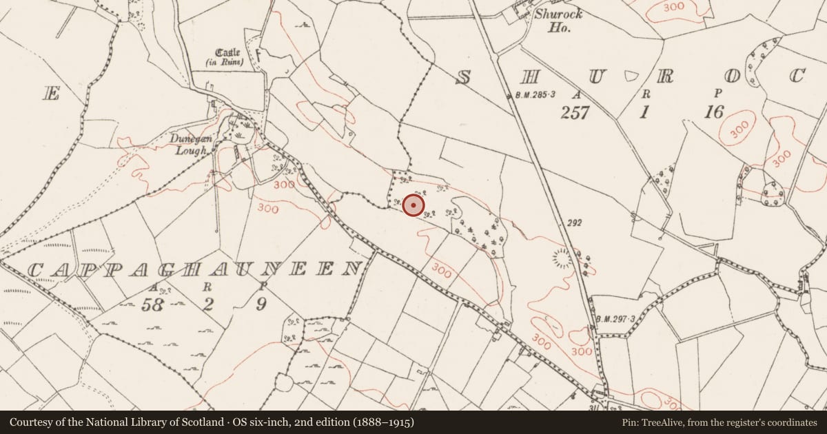 Ordnance Survey six-inch map, 2nd edition (1888–1915) covering the location of Earthwork, Shurock, County Westmeath, with a pin at the register's coordinates