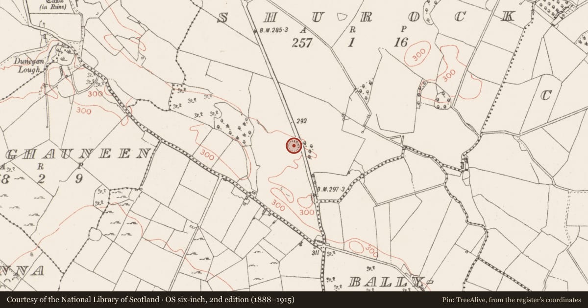 Ordnance Survey six-inch map, 2nd edition (1888–1915) covering the location of Ringfort - rath, Shurock, County Westmeath, with a pin at the register's coordinates