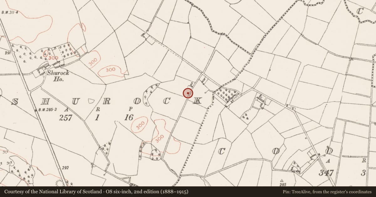 Ordnance Survey six-inch map, 2nd edition (1888–1915) covering the location of Ringfort - rath, Shurock, County Westmeath, with a pin at the register's coordinates