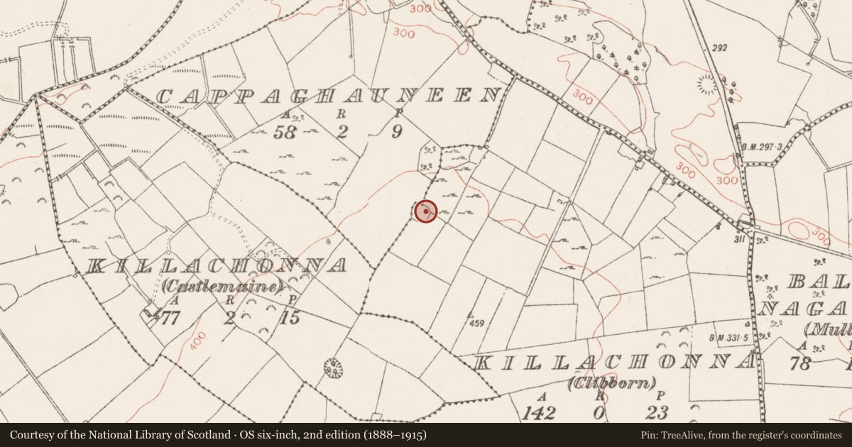 Ordnance Survey six-inch map, 2nd edition (1888–1915) covering the location of Ringfort - rath, Killachonna (Clibborn), County Westmeath, with a pin at the register's coordinates