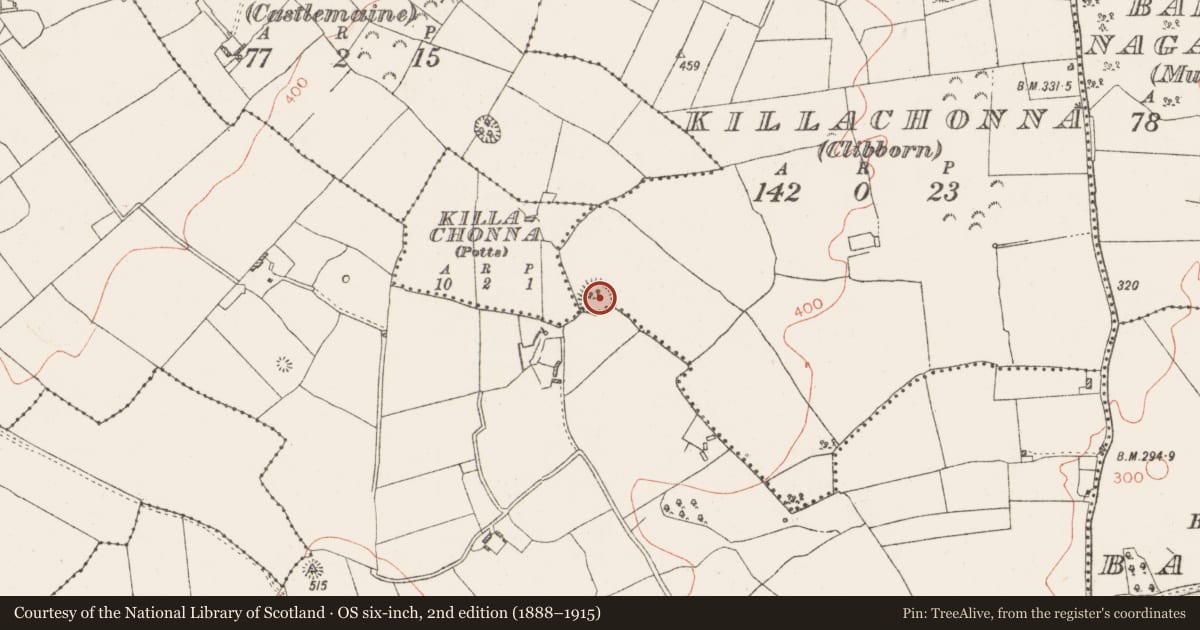Ordnance Survey six-inch map, 2nd edition (1888–1915) covering the location of Ringfort - rath, Killachonna (Clibborn), County Westmeath, with a pin at the register's coordinates