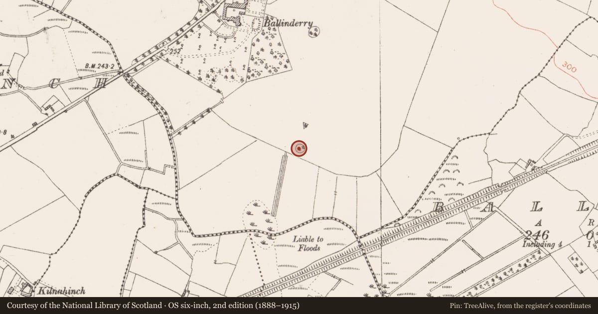 Ordnance Survey six-inch map, 2nd edition (1888–1915) covering the location of Designed landscape - tree-ring, Ballinderry, County Westmeath, with a pin at the register's coordinates