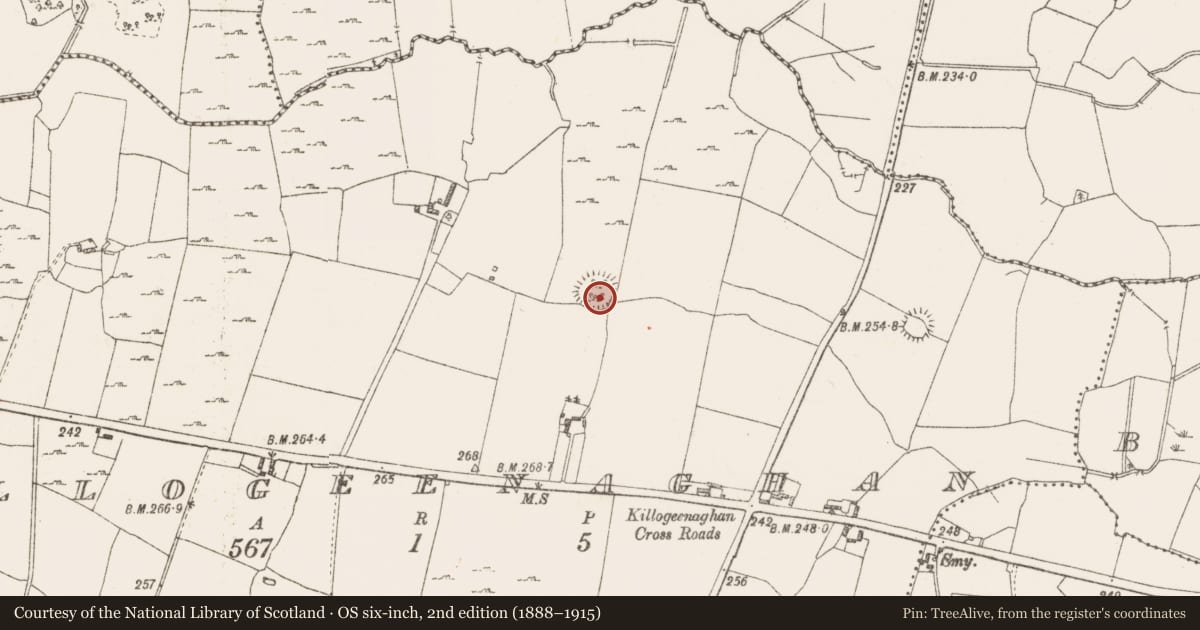 Ordnance Survey six-inch map, 2nd edition (1888–1915) covering the location of Ringfort - rath, Killogeenaghan, County Westmeath, with a pin at the register's coordinates