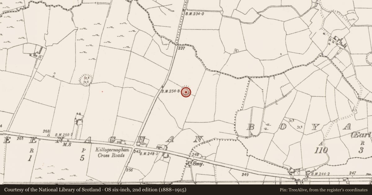 Ordnance Survey six-inch map, 2nd edition (1888–1915) covering the location of Ringfort - rath, Killogeenaghan, County Westmeath, with a pin at the register's coordinates