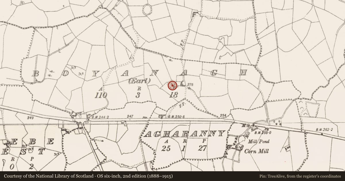 Ordnance Survey six-inch map, 2nd edition (1888–1915) covering the location of Ringfort - rath, Boyanagh (Earl), County Westmeath, with a pin at the register's coordinates