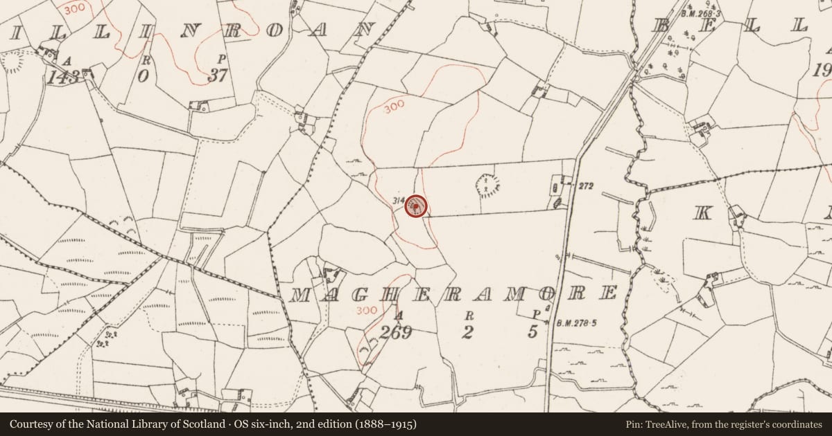 Ordnance Survey six-inch map, 2nd edition (1888–1915) covering the location of Ringfort - rath, Magheramore, County Westmeath, with a pin at the register's coordinates