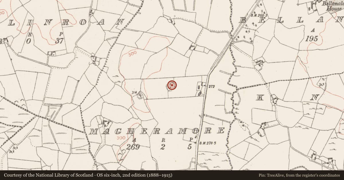 Ordnance Survey six-inch map, 2nd edition (1888–1915) covering the location of Ringfort - rath, Magheramore, County Westmeath, with a pin at the register's coordinates