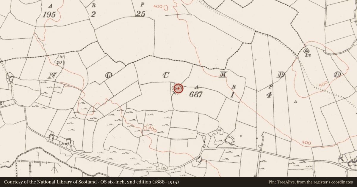 Ordnance Survey six-inch map, 2nd edition (1888–1915) covering the location of Ringfort - rath, Knockdomny, County Westmeath, with a pin at the register's coordinates