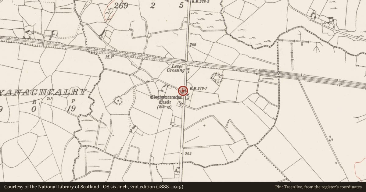 Ordnance Survey six-inch map, 2nd edition (1888–1915) covering the location of Castle - unclassified, Magheramore, County Westmeath, with a pin at the register's coordinates