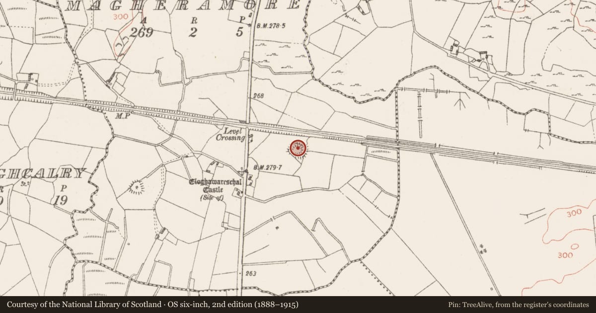 Ordnance Survey six-inch map, 2nd edition (1888–1915) covering the location of Ringfort - rath, Magheramore, County Westmeath, with a pin at the register's coordinates