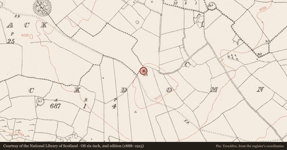 Ordnance Survey six-inch map, 2nd edition (1888–1915) covering the location of Barrow - bowl-barrow, Knockdomny, County Westmeath, with a pin at the register's coordinates