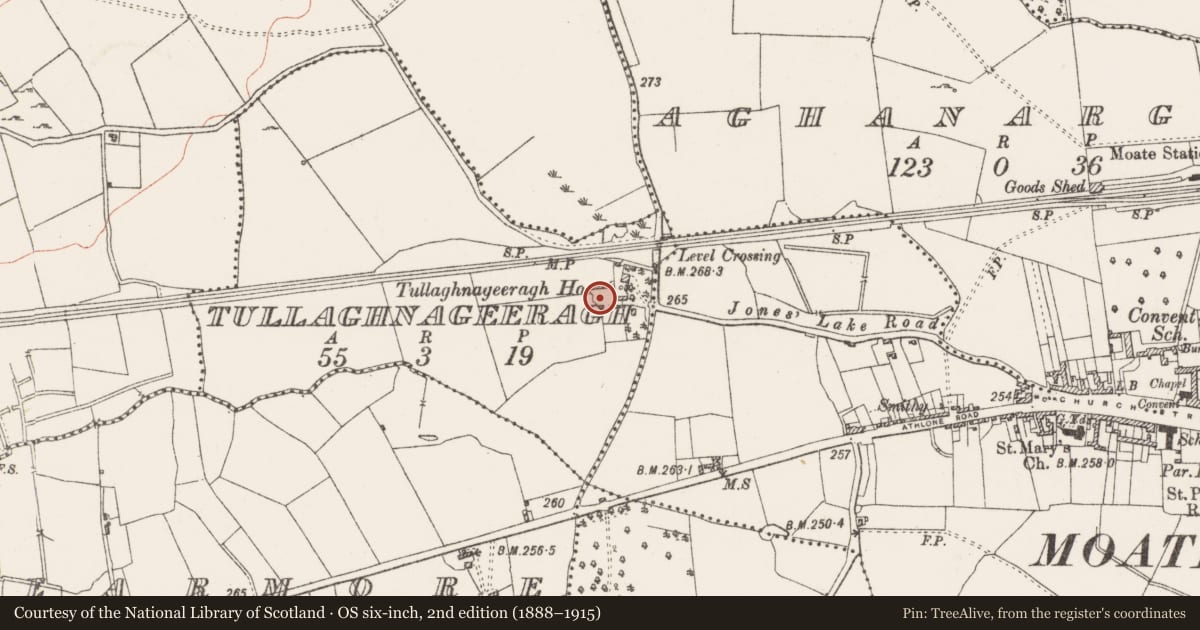 Ordnance Survey six-inch map, 2nd edition (1888–1915) covering the location of Ringfort - rath, Tullaghnageeragh, County Westmeath, with a pin at the register's coordinates
