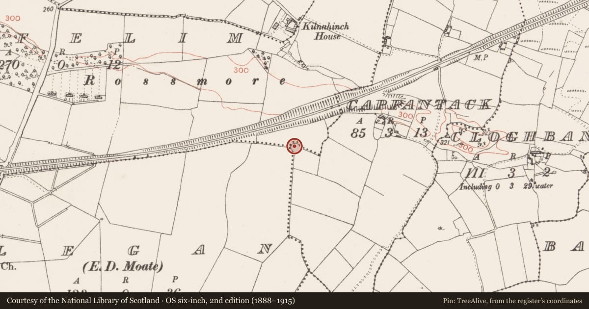 Ordnance Survey six-inch map, 2nd edition (1888–1915) covering the location of Ringfort - rath, Cappantack, County Westmeath, with a pin at the register's coordinates