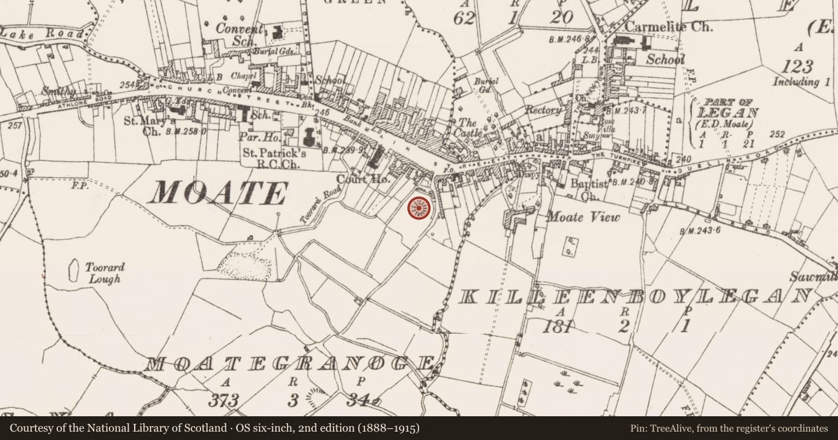 Ordnance Survey six-inch map, 2nd edition (1888–1915) covering the location of Castle - motte and bailey, Moategranoge, County Westmeath, with a pin at the register's coordinates