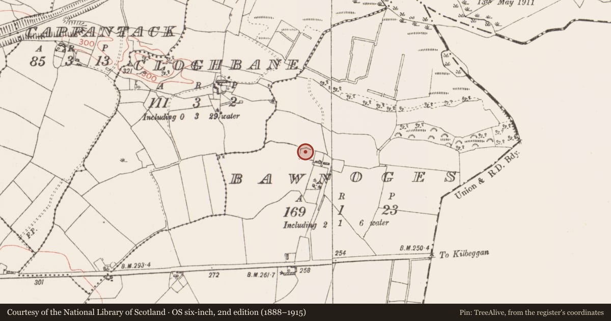Ordnance Survey six-inch map, 2nd edition (1888–1915) covering the location of Enclosure, Bawnoges, County Westmeath, with a pin at the register's coordinates