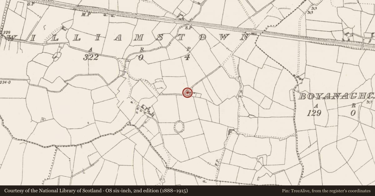 Ordnance Survey six-inch map, 2nd edition (1888–1915) covering the location of Architectural fragment, Williamstown, County Westmeath, with a pin at the register's coordinates