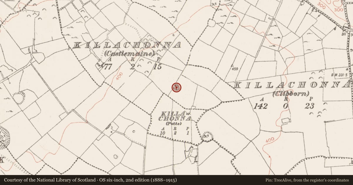Ordnance Survey six-inch map, 2nd edition (1888–1915) covering the location of Ringfort - rath, Killachonna (Castlemaine), County Westmeath, with a pin at the register's coordinates