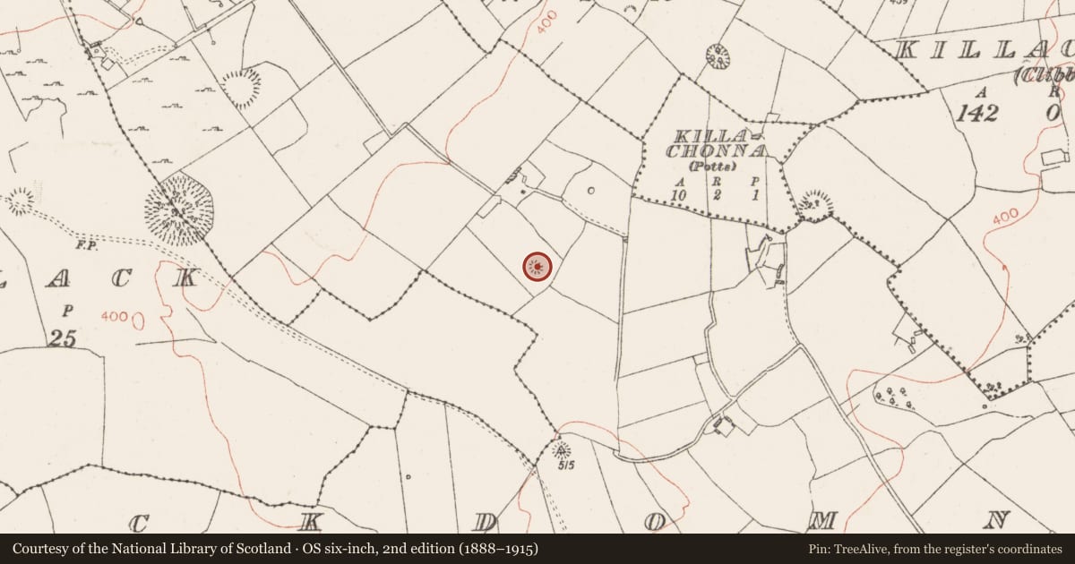Ordnance Survey six-inch map, 2nd edition (1888–1915) covering the location of Earthwork, Knockdomny, County Westmeath, with a pin at the register's coordinates