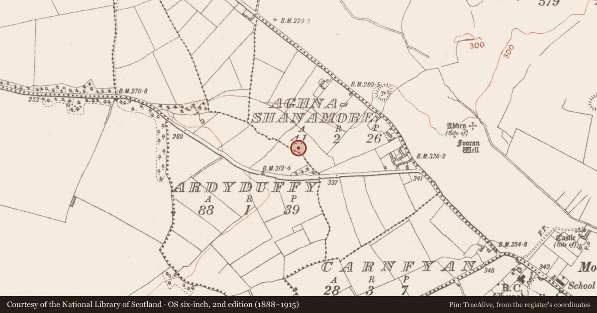 Ordnance Survey six-inch map, 2nd edition (1888–1915) covering the location of Barrow - mound barrow, Aghanashanamore, County Westmeath, with a pin at the register's coordinates