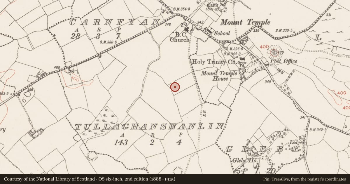 Ordnance Survey six-inch map, 2nd edition (1888–1915) covering the location of Ringfort - unclassified, Tullaghanshanlin, County Westmeath, with a pin at the register's coordinates