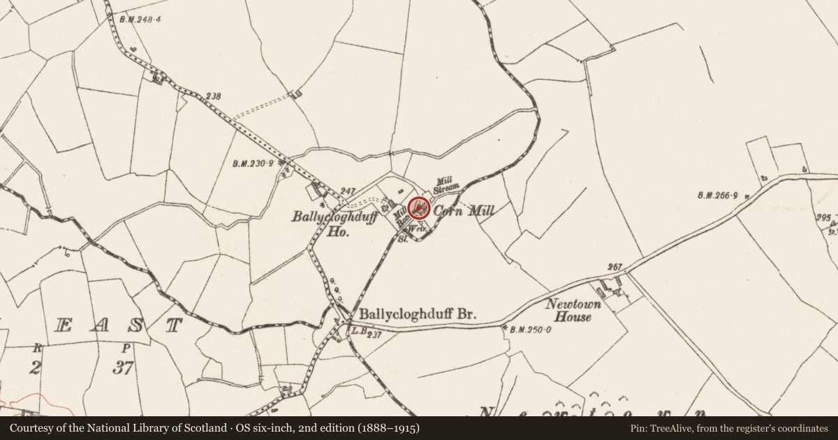 Ordnance Survey six-inch map, 2nd edition (1888–1915) covering the location of Water mill - vertical-wheeled, Ballycloghduff, County Westmeath, with a pin at the register's coordinates