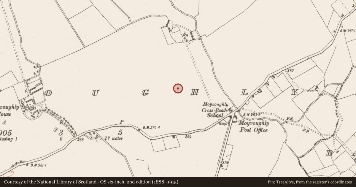 Ordnance Survey six-inch map, 2nd edition (1888–1915) covering the location of Enclosure, Moyvoughly, County Westmeath, with a pin at the register's coordinates