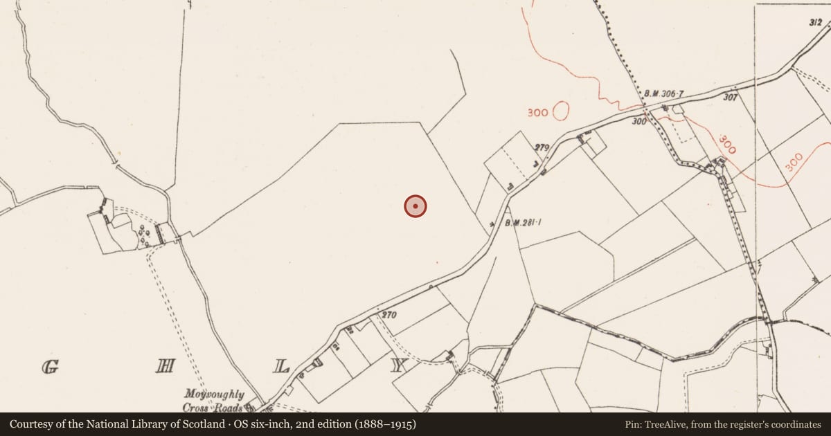 Ordnance Survey six-inch map, 2nd edition (1888–1915) covering the location of Earthwork, Moyvoughly, County Westmeath, with a pin at the register's coordinates