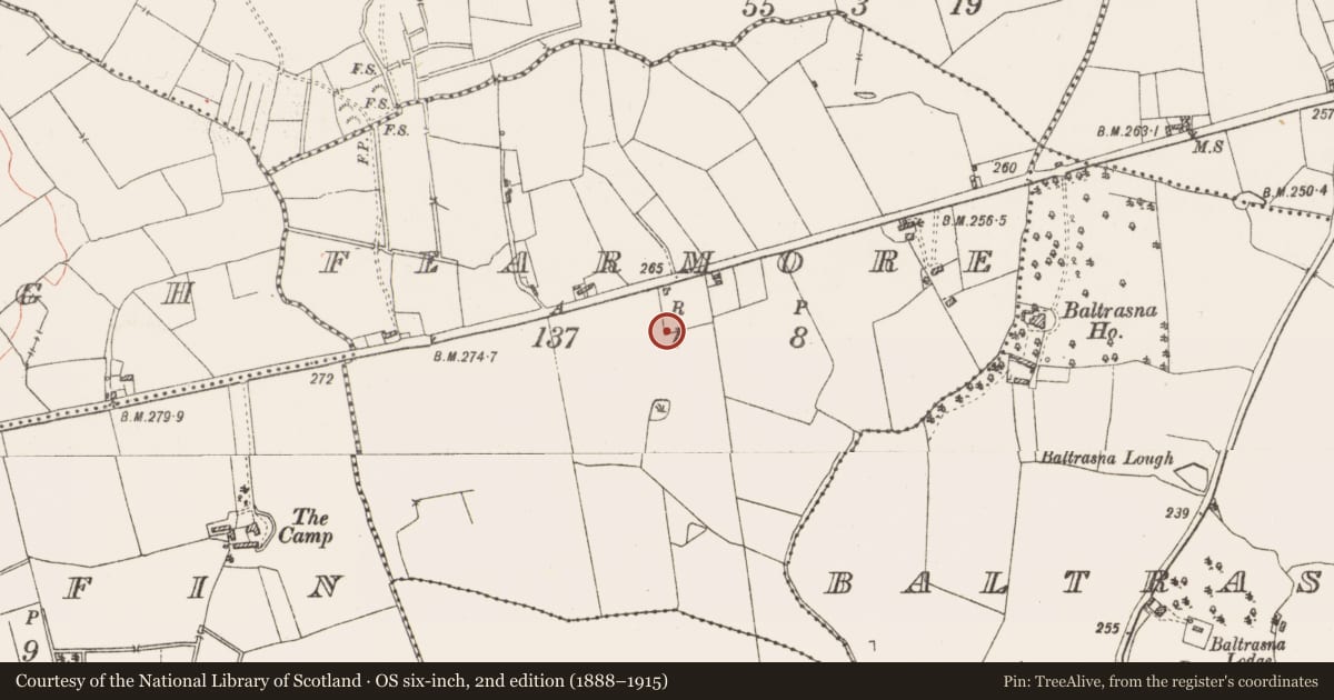 Ordnance Survey six-inch map, 2nd edition (1888–1915) covering the location of Burial, Fearmore, County Westmeath, with a pin at the register's coordinates