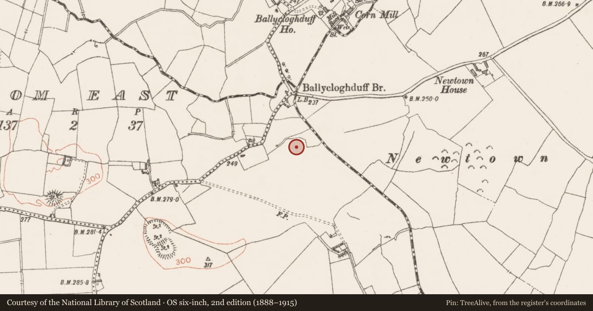 Ordnance Survey six-inch map, 2nd edition (1888–1915) covering the location of Enclosure, Ballydoogan, County Westmeath, with a pin at the register's coordinates