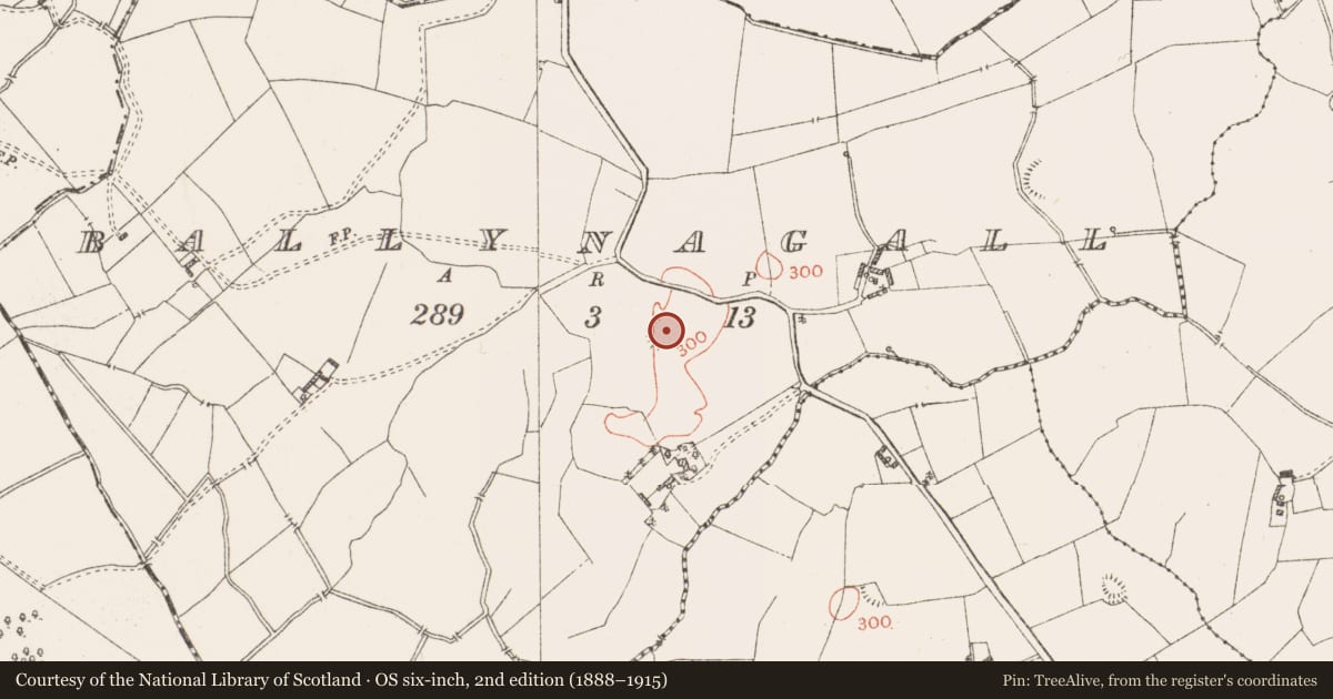 Ordnance Survey six-inch map, 2nd edition (1888–1915) covering the location of Ringfort - rath, Ballynagall, County Westmeath, with a pin at the register's coordinates