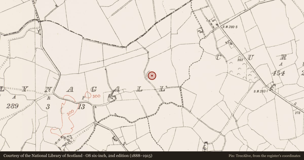 Ordnance Survey six-inch map, 2nd edition (1888–1915) covering the location of Ringfort - rath, Ballynagall, County Westmeath, with a pin at the register's coordinates