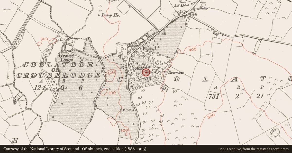 Ordnance Survey six-inch map, 2nd edition (1888–1915) covering the location of Architectural fragment, Coolatoor, County Westmeath, with a pin at the register's coordinates