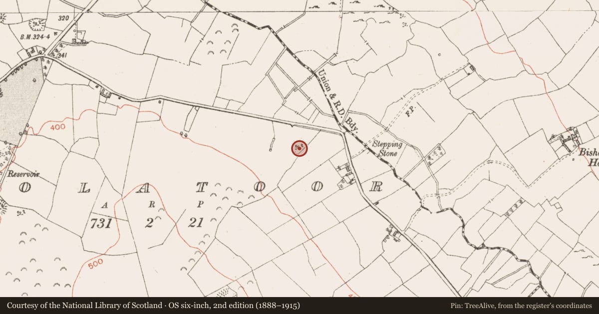 Ordnance Survey six-inch map, 2nd edition (1888–1915) covering the location of Ringfort - rath, Coolatoor, County Westmeath, with a pin at the register's coordinates