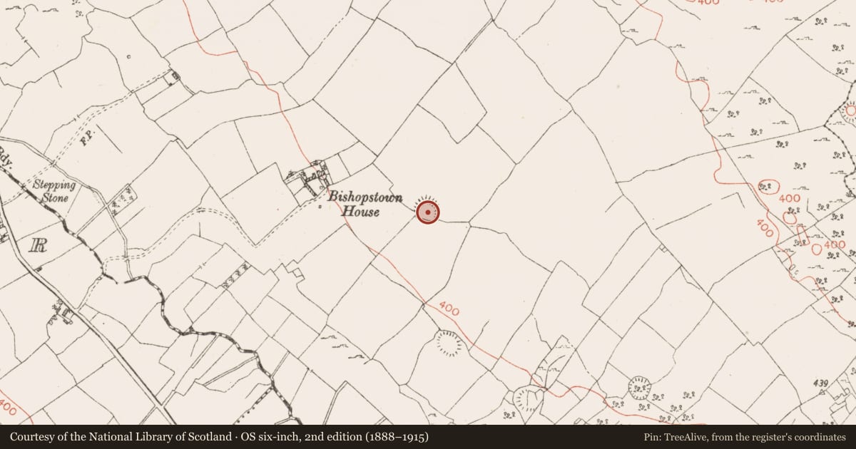 Ordnance Survey six-inch map, 2nd edition (1888–1915) covering the location of Ringfort - rath, Ballinaspick Or Bishopstown, County Westmeath, with a pin at the register's coordinates