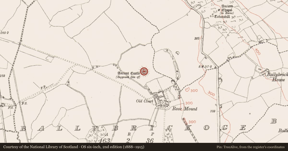 Ordnance Survey six-inch map, 2nd edition (1888–1915) covering the location of Castle - motte and bailey, Ballybrickoge, County Westmeath, with a pin at the register's coordinates