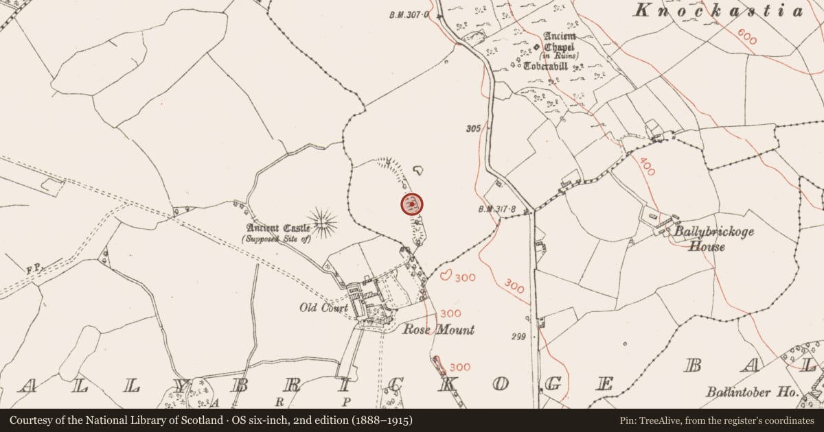 Ordnance Survey six-inch map, 2nd edition (1888–1915) covering the location of Earthwork, Coolatoor, County Westmeath, with a pin at the register's coordinates
