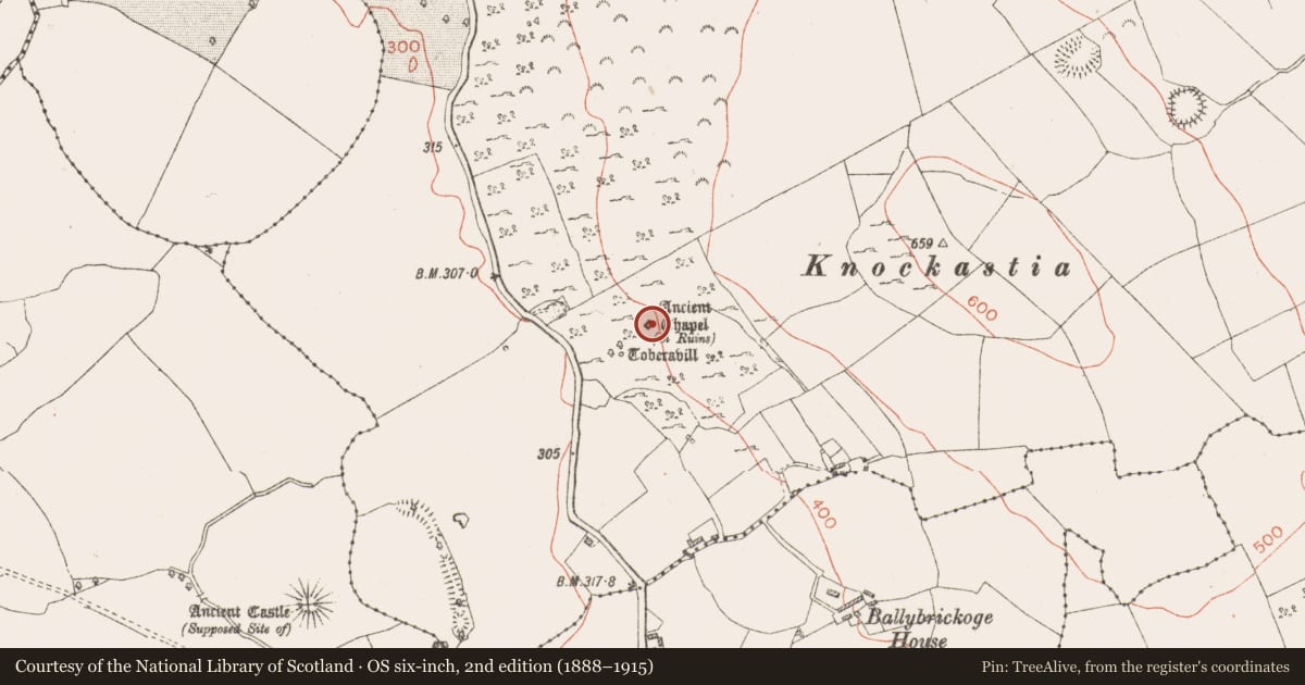 Ordnance Survey six-inch map, 2nd edition (1888–1915) covering the location of Church, Coolatoor, County Westmeath, with a pin at the register's coordinates