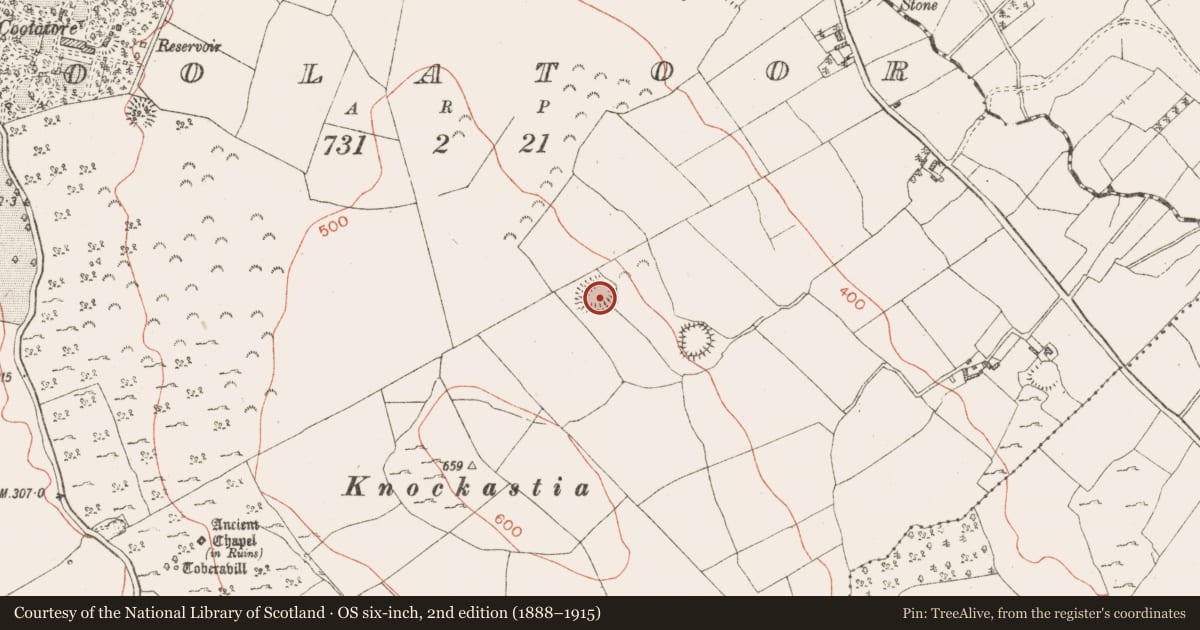 Ordnance Survey six-inch map, 2nd edition (1888–1915) covering the location of Ringfort - rath, Coolatoor, County Westmeath, with a pin at the register's coordinates