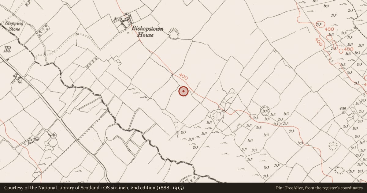 Ordnance Survey six-inch map, 2nd edition (1888–1915) covering the location of Ringfort - rath, Ballinaspick Or Bishopstown, County Westmeath, with a pin at the register's coordinates