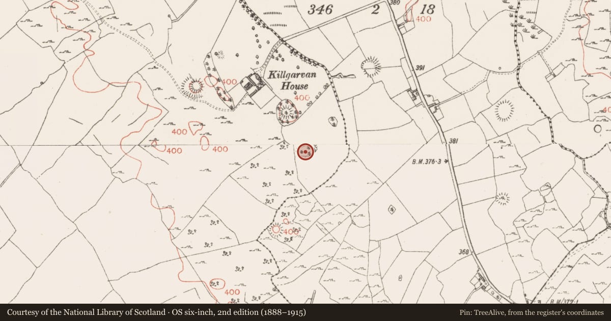 Ordnance Survey six-inch map, 2nd edition (1888–1915) covering the location of Ringfort - rath, Ballinaspick Or Bishopstown, County Westmeath, with a pin at the register's coordinates