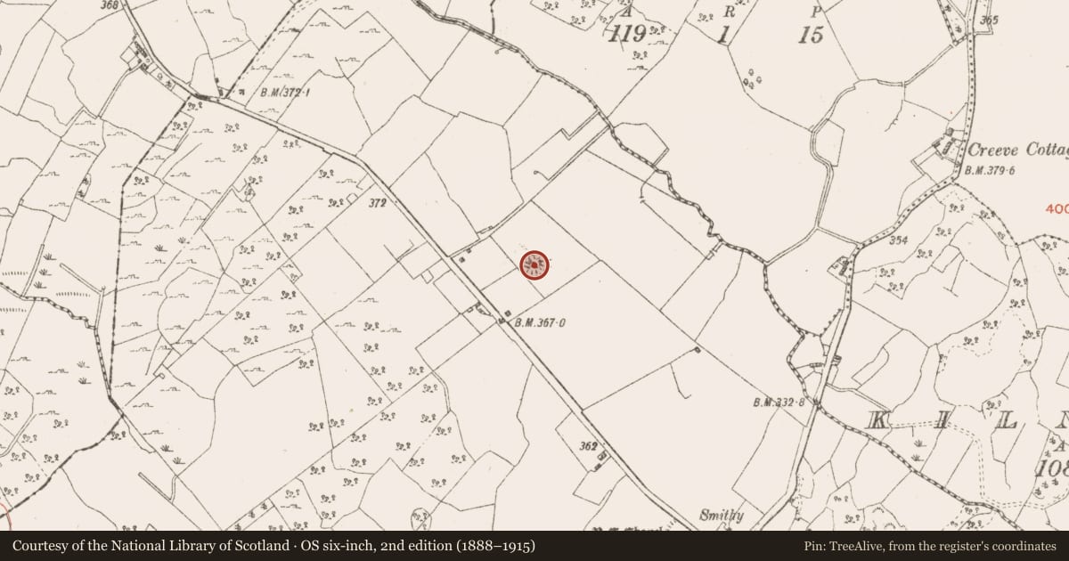 Ordnance Survey six-inch map, 2nd edition (1888–1915) covering the location of Ringfort - rath, Streamstown, County Westmeath, with a pin at the register's coordinates