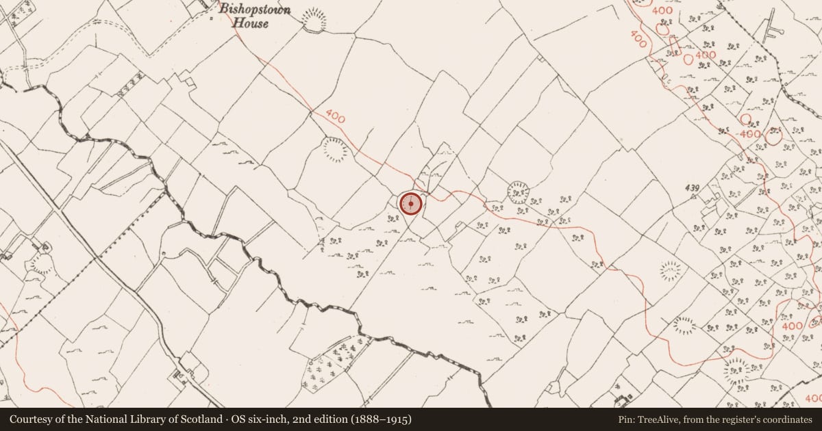 Ordnance Survey six-inch map, 2nd edition (1888–1915) covering the location of Ringfort - rath, Ballinaspick Or Bishopstown, County Westmeath, with a pin at the register's coordinates