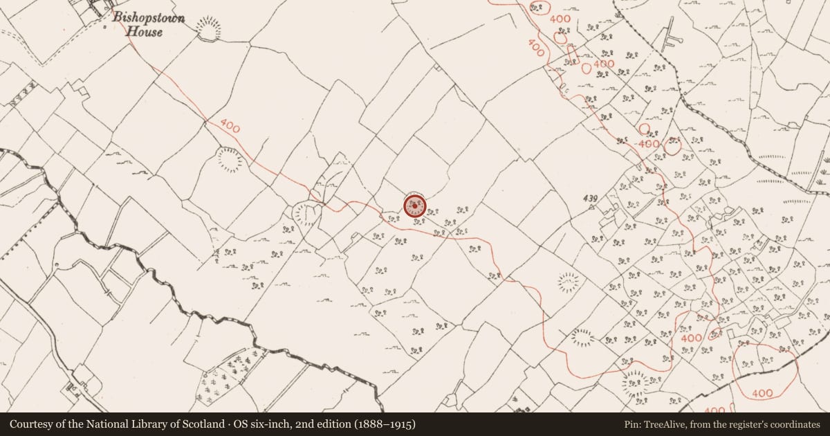 Ordnance Survey six-inch map, 2nd edition (1888–1915) covering the location of Ringfort - rath, Ballinaspick Or Bishopstown, County Westmeath, with a pin at the register's coordinates