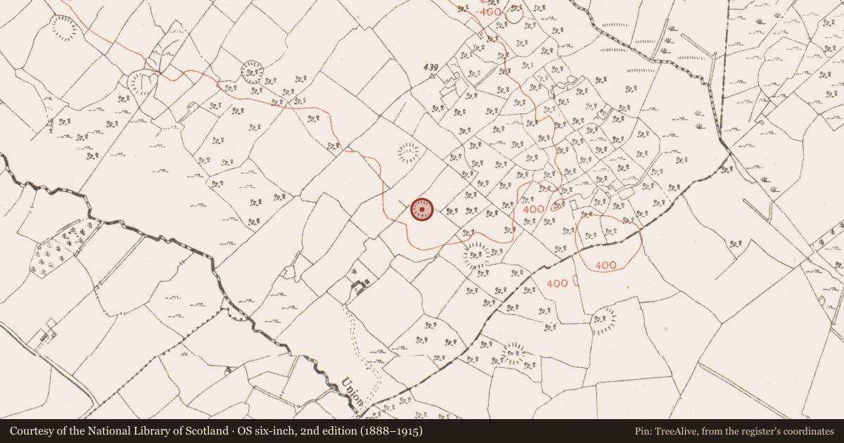 Ordnance Survey six-inch map, 2nd edition (1888–1915) covering the location of Ringfort - rath, Ballinaspick Or Bishopstown, County Westmeath, with a pin at the register's coordinates