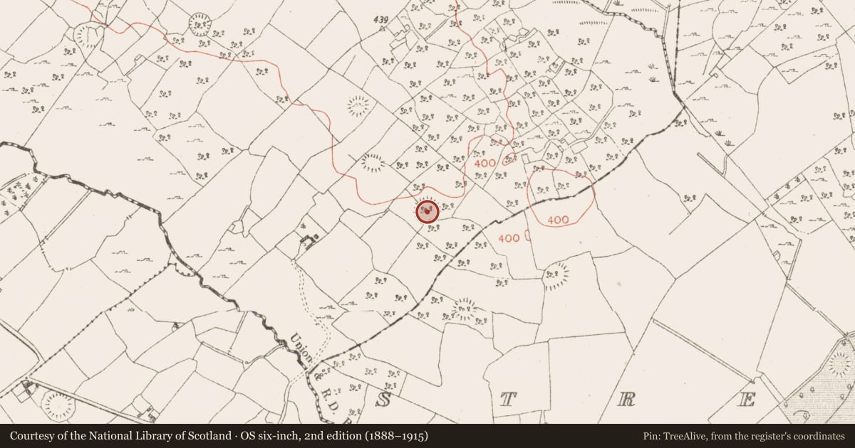 Ordnance Survey six-inch map, 2nd edition (1888–1915) covering the location of Ringfort - rath, Ballinaspick Or Bishopstown, County Westmeath, with a pin at the register's coordinates