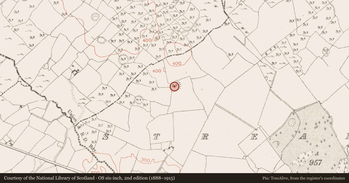 Ordnance Survey six-inch map, 2nd edition (1888–1915) covering the location of Ringfort - rath, Streamstown, County Westmeath, with a pin at the register's coordinates